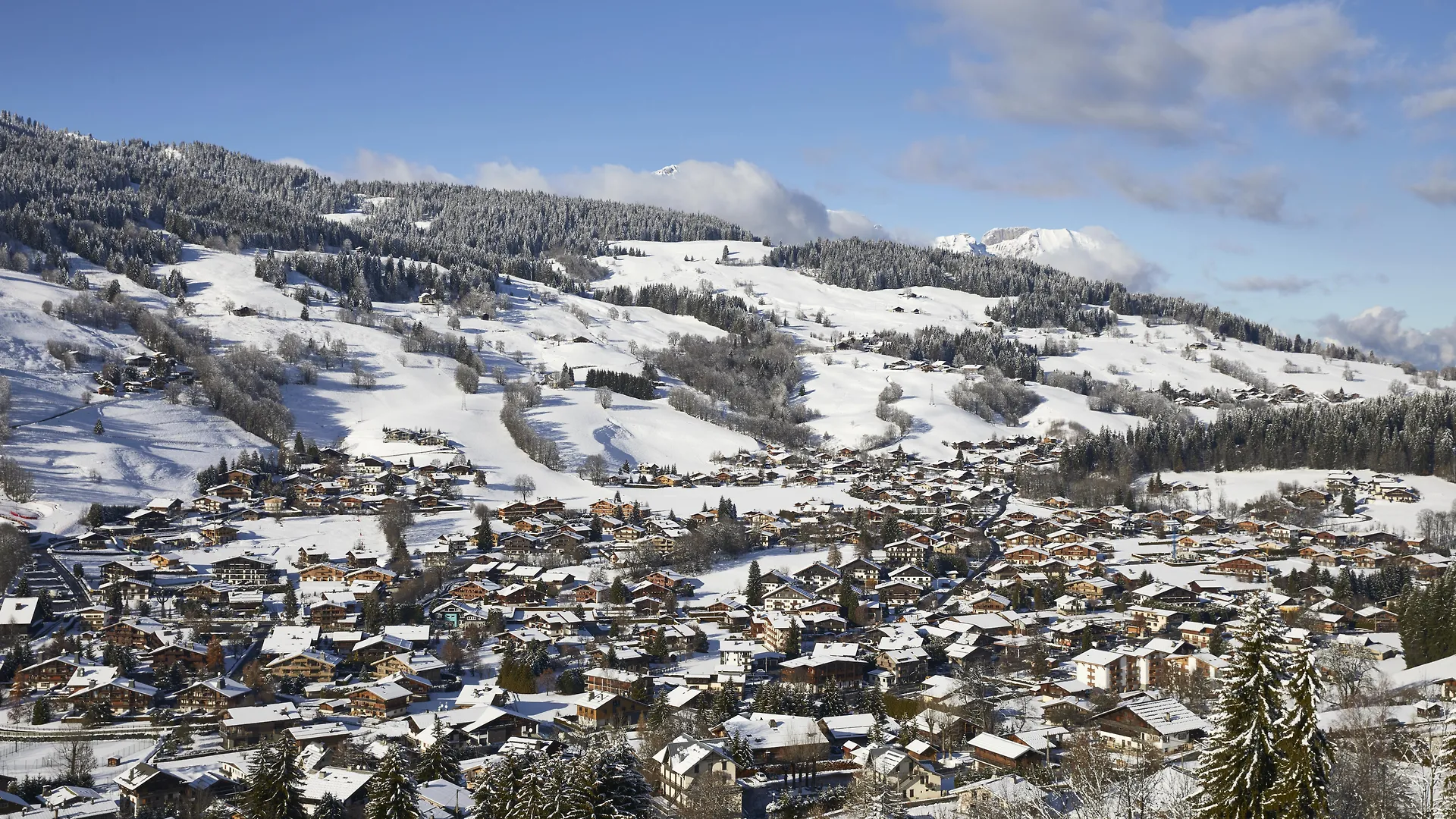 Hotel L'Arboisie Megeve