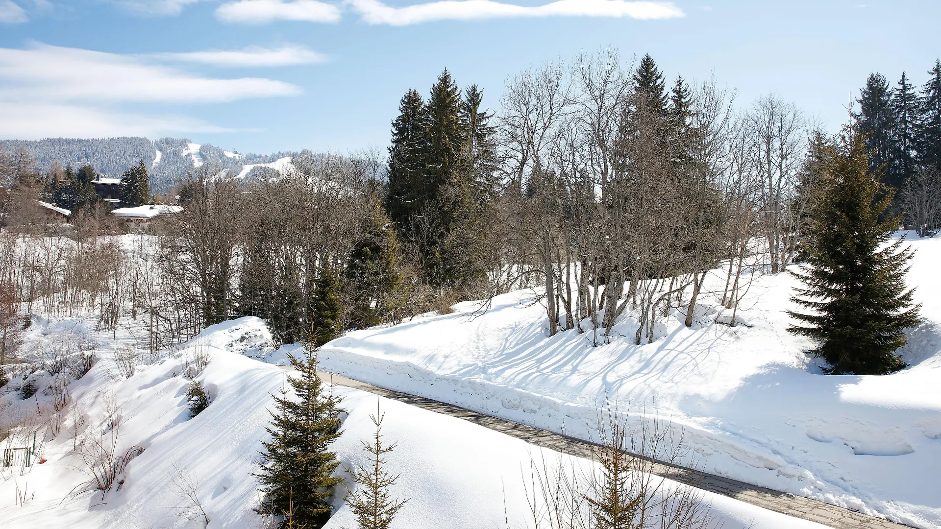 Hotel L'Arboisie Megeve